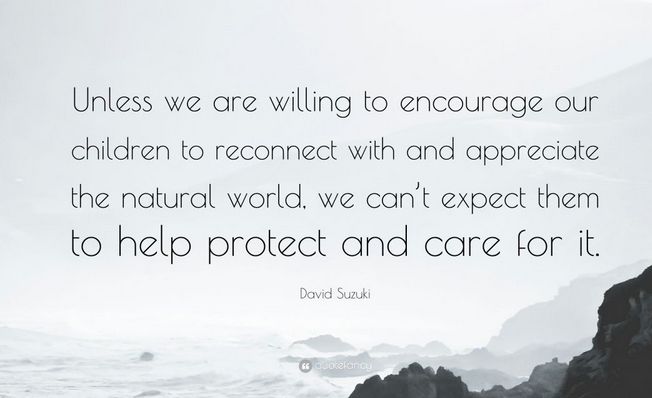 Quote Suzuki Children reconnect with Natural world