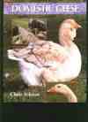 book ashton geese 1991